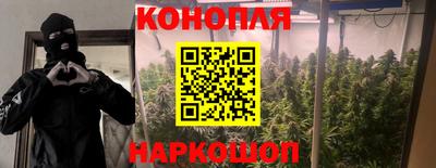 ПСИЛОЦИБИНОВЫЕ ГРИБЫ Кингисепп