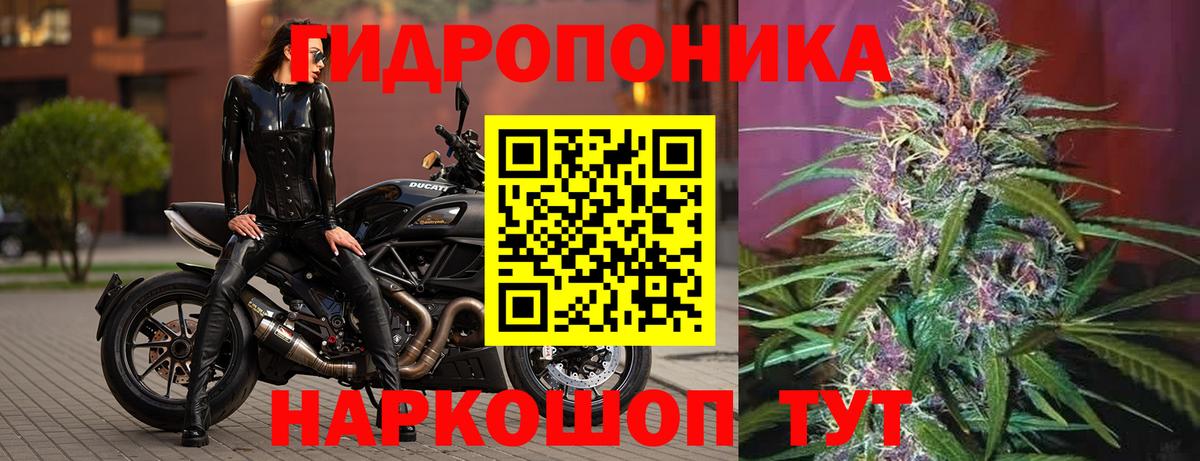APVP Королёв